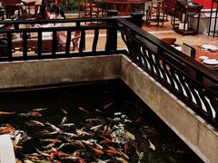 -龙悦湾酒家·八阵鱼生·渔人码头店