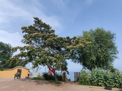 -东戴河风景区-止锚湾