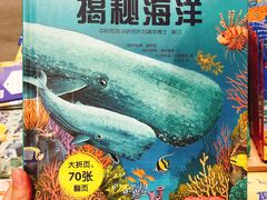 揭秘海洋-覔书店(壹方城店)