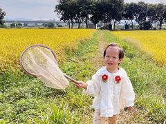 -光明小镇欢乐田园