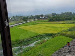 -黄牛肉馆·皖南土菜