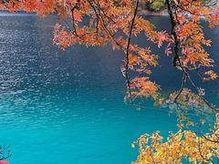 -叠溪松坪沟景区