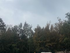 -玫瑰海岸文化旅游度假区