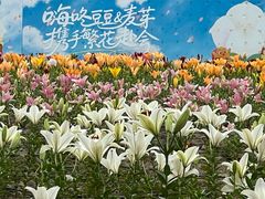 -中国农业博物馆