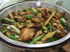-鲤鱼塘农家山庄