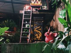 -Jungle Kitchen