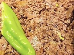 -王胖子驴肉火烧(鼓楼店)