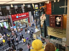 -line friends(明洞旗舰店)