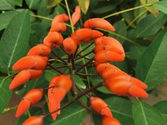 -宁波杉井奥特莱斯广场