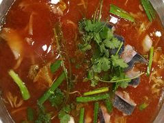 -新凯里酸汤鱼(飞山街店)