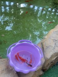 -可可天空农场(中大店)