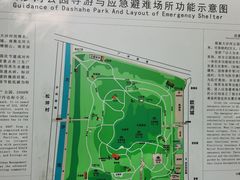 -大沙河公园