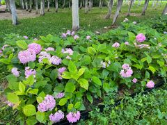 -汉长安城未央宫国家考古遗址公园