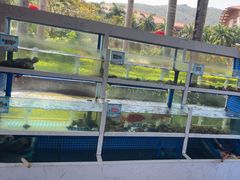 -宴悦海鲜餐厅·游水海鲜·牛排(亚龙湾瑞吉店)