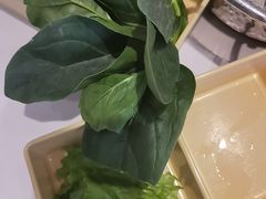 -呷哺呷哺 黄金牧场 (中发百旺店)