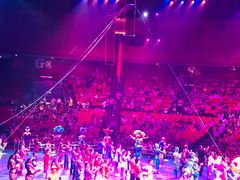 -珠海横琴长隆《卡卡虎奇遇记》