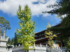-莆田南少林寺