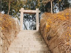 -北京十三陵国家森林公园蟒山景区