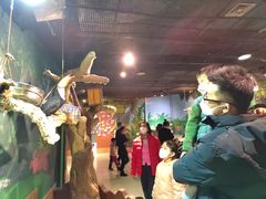 -萌宠奇缘