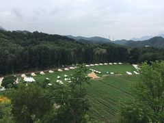 -紫海香堤香草艺术庄园