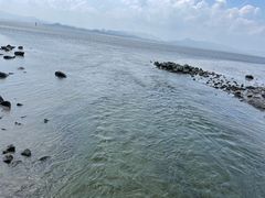 -深圳湾公园(南山区)