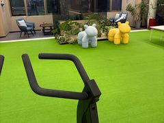 -章鱼健身 Octopus