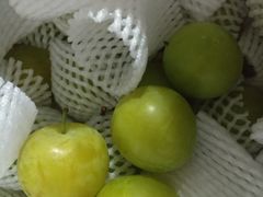 -呼吸森林·生态农庄农家乐私房菜