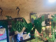 -Rabbit Cafe私房西餐甜点咖啡(栖霞路店)