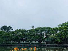 -江心屿景区