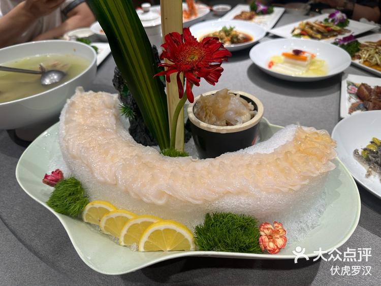 象拔蚌长长的鼻子好可爱