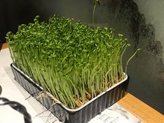 豆苗-今日炊牛·潮汕牛肉火锅(华采天地店)