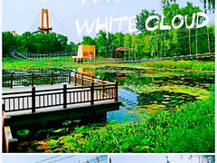 -微山湖红荷湿地景区