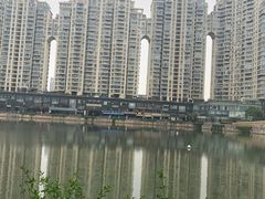 -西北湖绿化广场