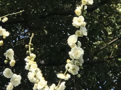 -汇龙潭