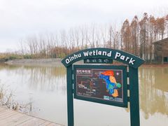 -溱湖国家湿地公园
