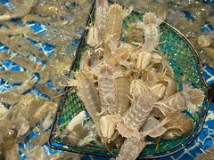 -驻海渔市(置信店)