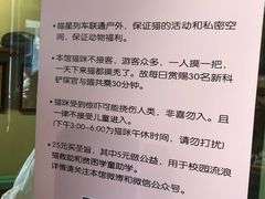 -猫咪博物馆(顶澳仔猫街店)