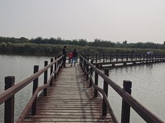 -西青郊野公园