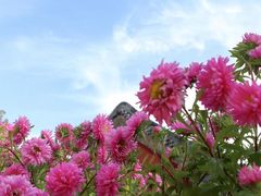 -潭柘寺景区