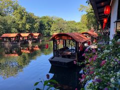 -侨美·唐荔园·40年地道粤菜