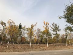 -永定河休闲森林公园