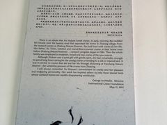-盐城丹顶鹤湿地生态旅游区