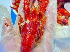 -堕落小龙虾(兰州旗舰店)