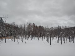 -青池