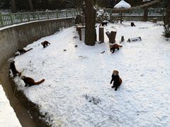 -西安秦岭野生动物园