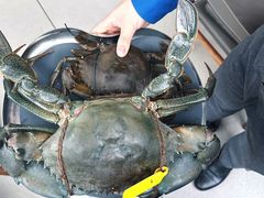 -Ministry of Crab•MOC(交子大道店)