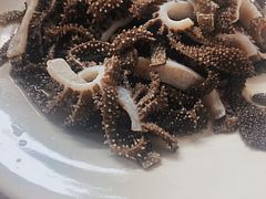 -马姐爆肚儿门丁肉饼