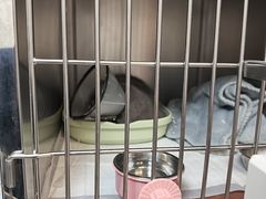 -艾贝尔宠物医院 ·中兽医·宠保定点(北门桥店)