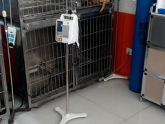 -惠康宠物医院(华能路店)