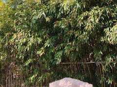 -竹子庵公园